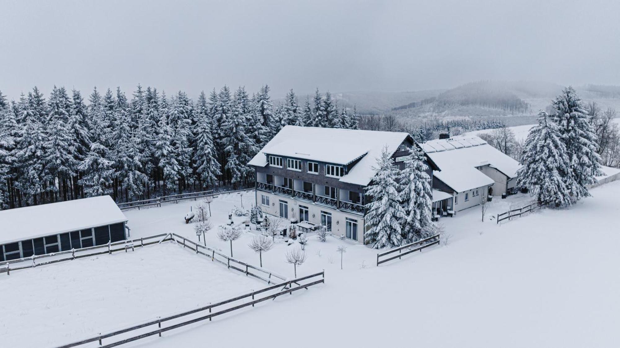 Landhotel Flora & Fauna (Adults Only) Winterberg Exterior photo
