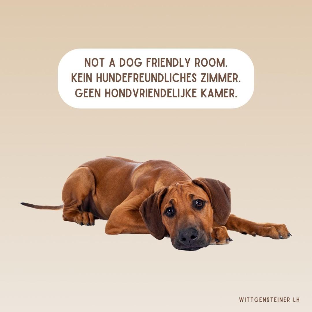 Landhotel Flora & Fauna (Adults Only) Winterberg Room photo